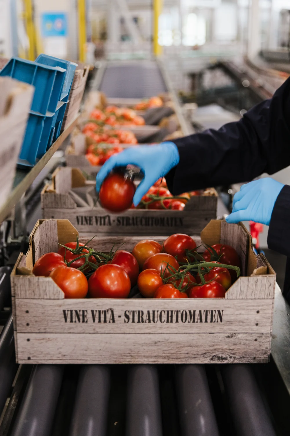 Verkoop-Verpakkingen-fotoslider-2